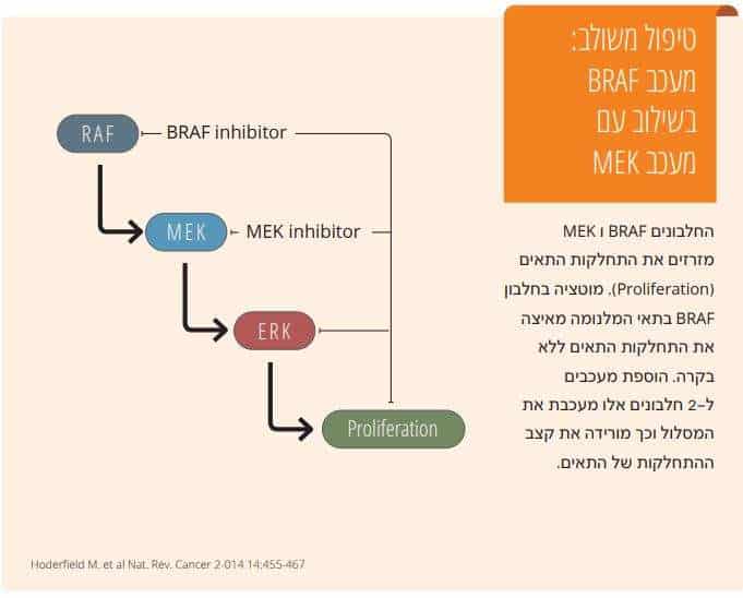 טיפולים במלנומה